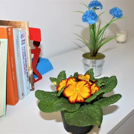 Stellanova Σπίτι διακοπών Νάπολη